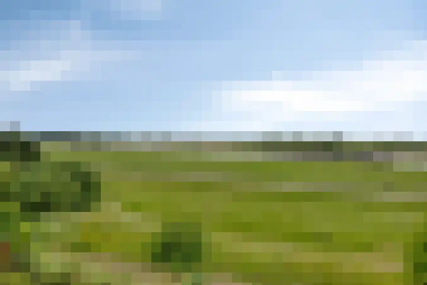 De Waarden 84 Zutphen thumbnail 25