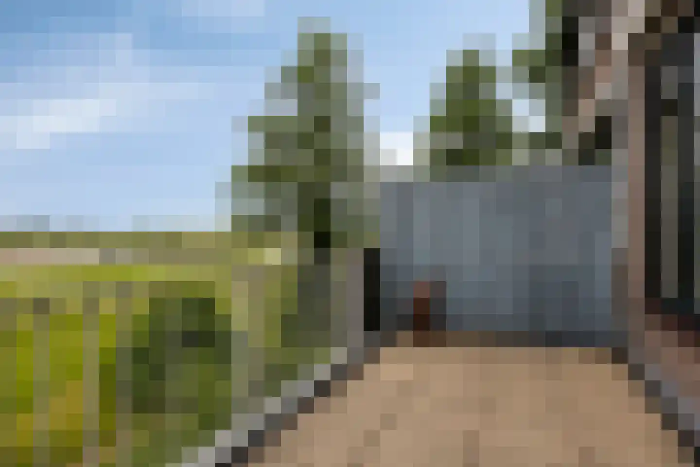 De Waarden 84 Zutphen thumbnail 8