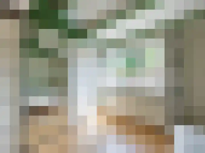 De Waarden 9 Zutphen thumbnail 15