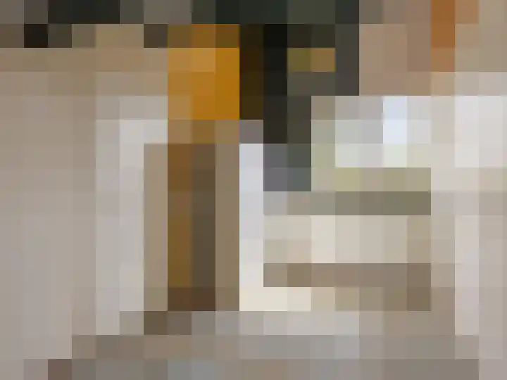 De Waarden 9 Zutphen thumbnail 21