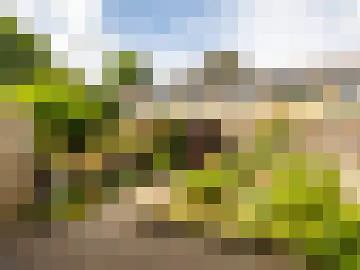 De Waarden 9 Zutphen thumbnail 22