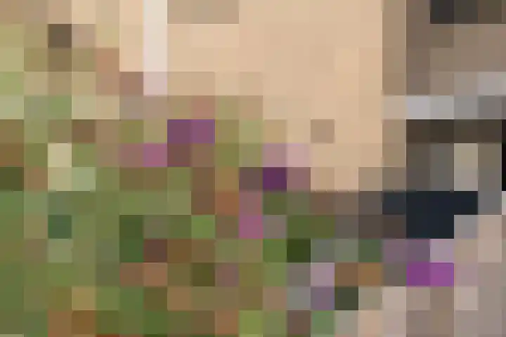 De Waarden 9 Zutphen thumbnail 23