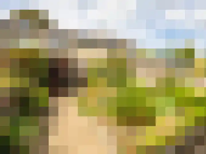 De Waarden 9 Zutphen thumbnail 24