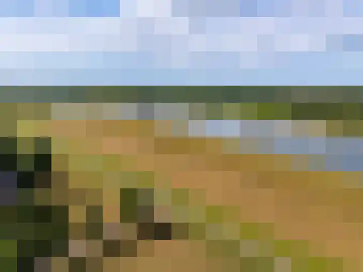 De Waarden 9 Zutphen thumbnail 30