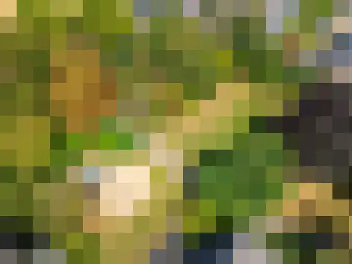 De Waarden 9 Zutphen thumbnail 31