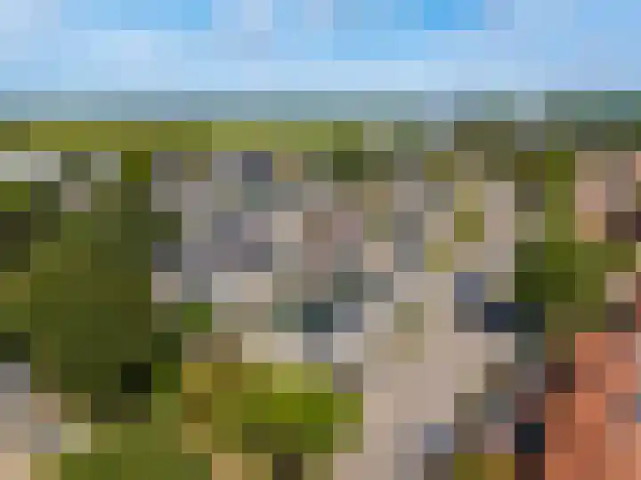 De Waarden 9 Zutphen thumbnail 32