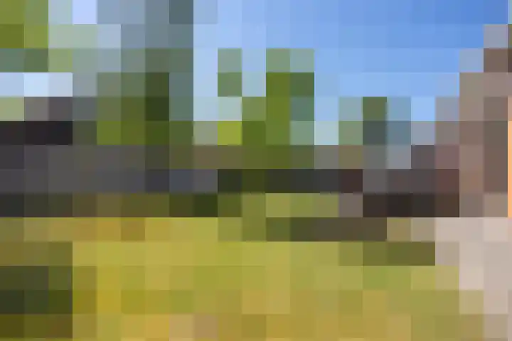 De Waardenborg 85 Lelystad thumbnail 18