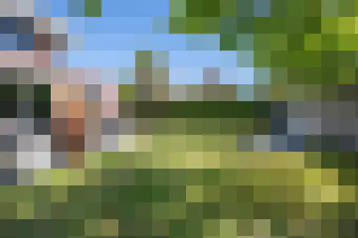De Waardenborg 85 Lelystad thumbnail 21