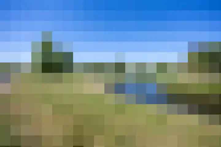 De Waardenborg 85 Lelystad thumbnail 37