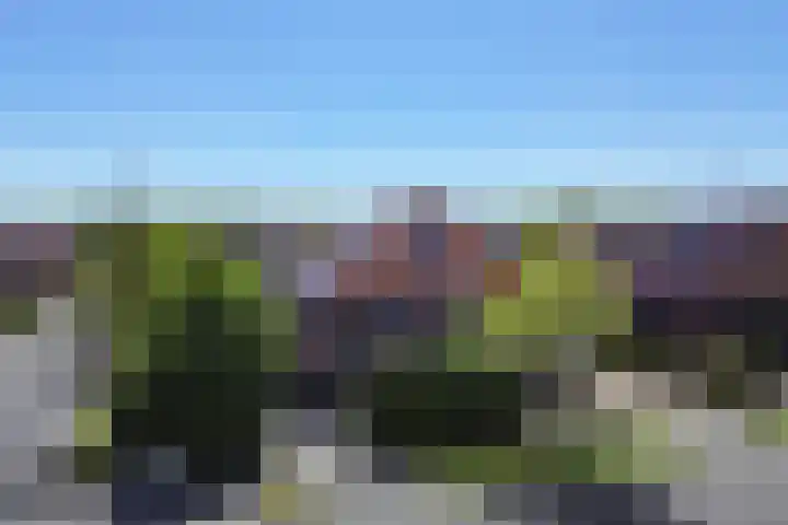 De Waardenborg 85 Lelystad thumbnail 38