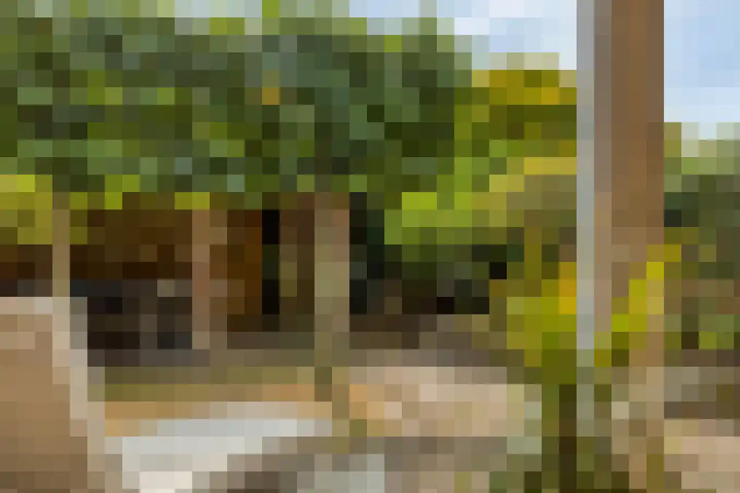 de Waareise 13 Zieuwent thumbnail 13