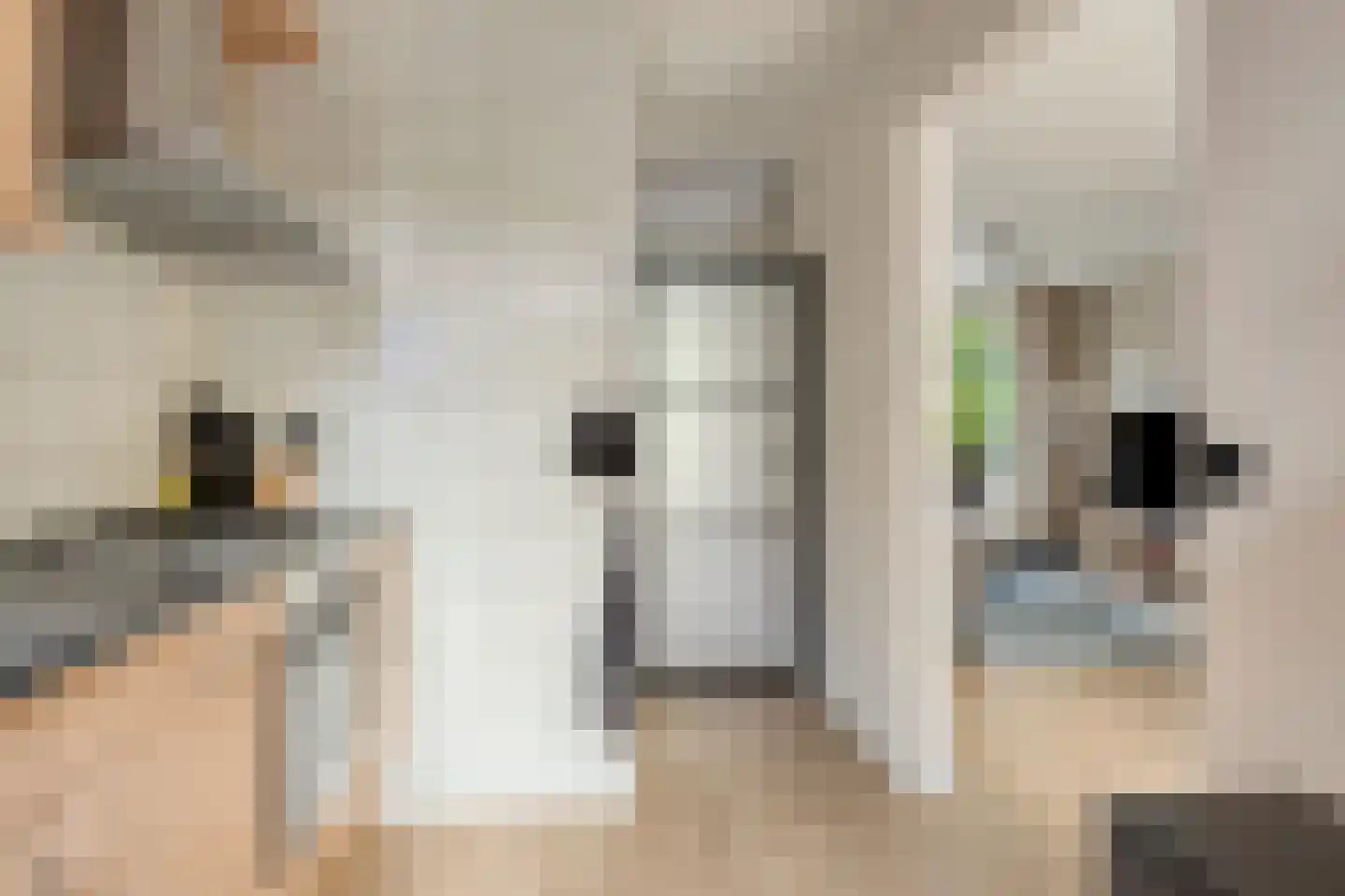 de Waareise 13 Zieuwent thumbnail 17