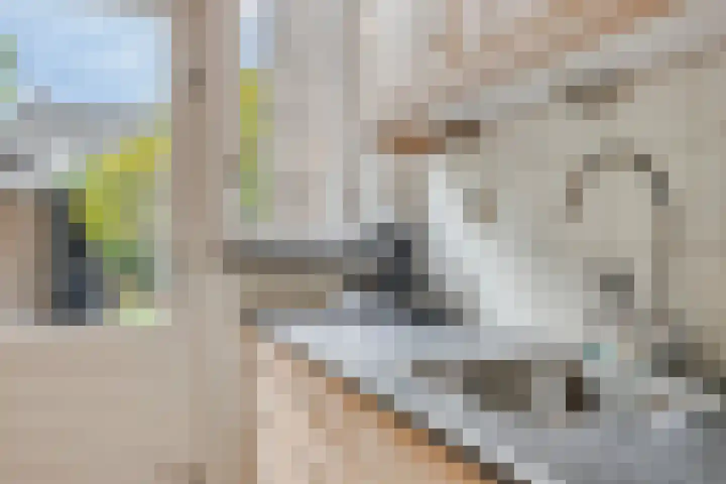 de Waareise 13 Zieuwent thumbnail 18
