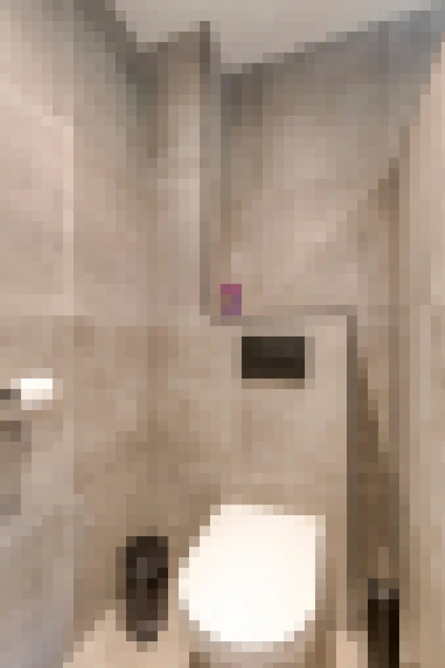 de Waareise 13 Zieuwent thumbnail 24