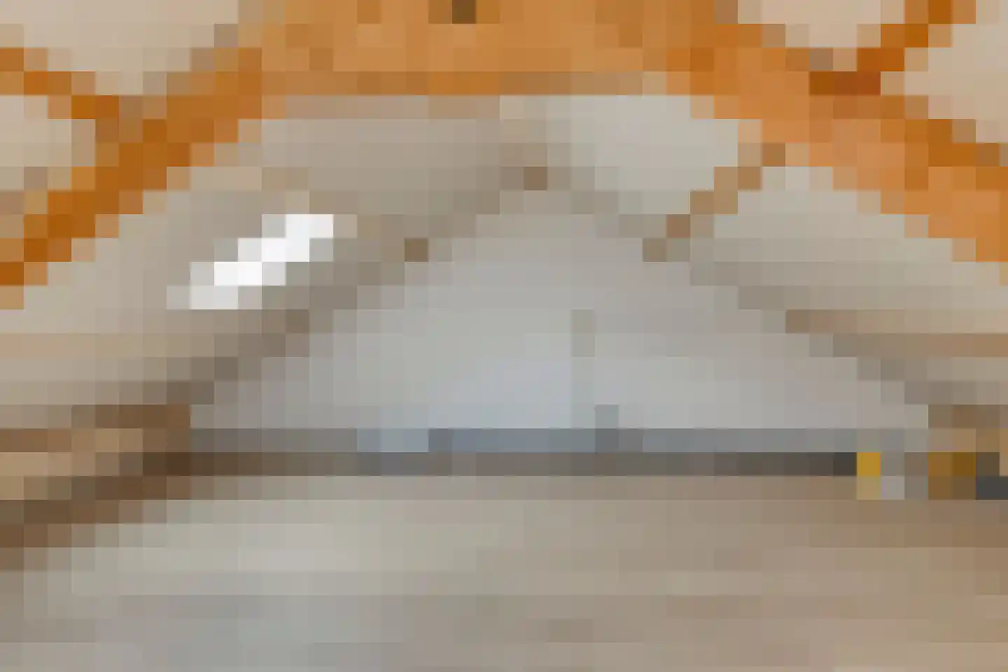 de Waareise 13 Zieuwent thumbnail 29