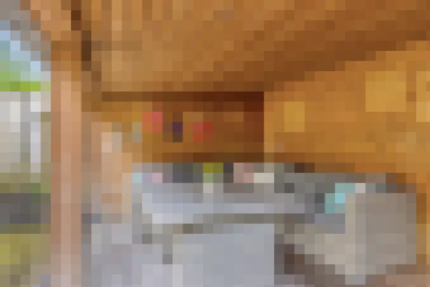de Waareise 13 Zieuwent thumbnail 32
