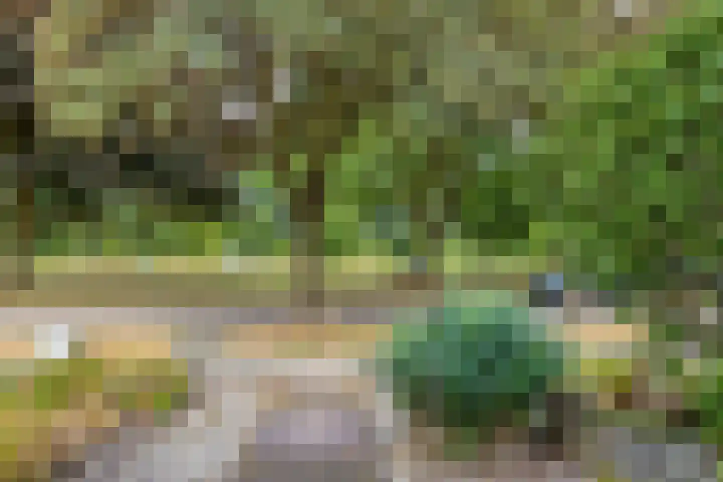 de Waareise 13 Zieuwent thumbnail 5