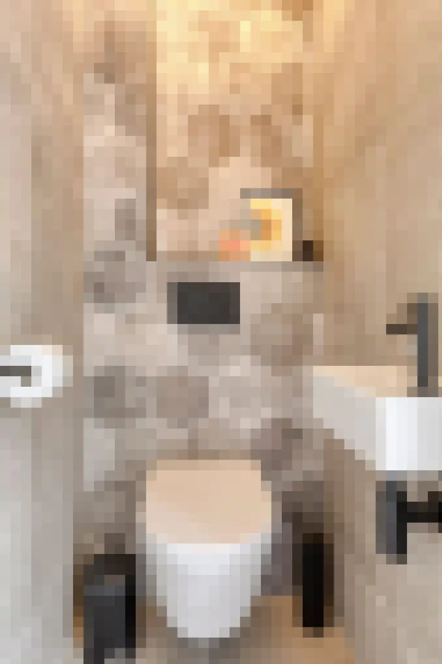 de Waareise 13 Zieuwent thumbnail 8