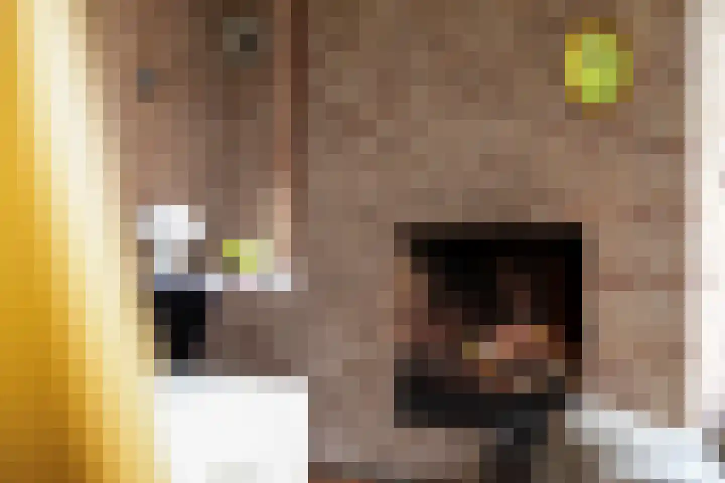De Waay 8 Hoog-Keppel thumbnail 11