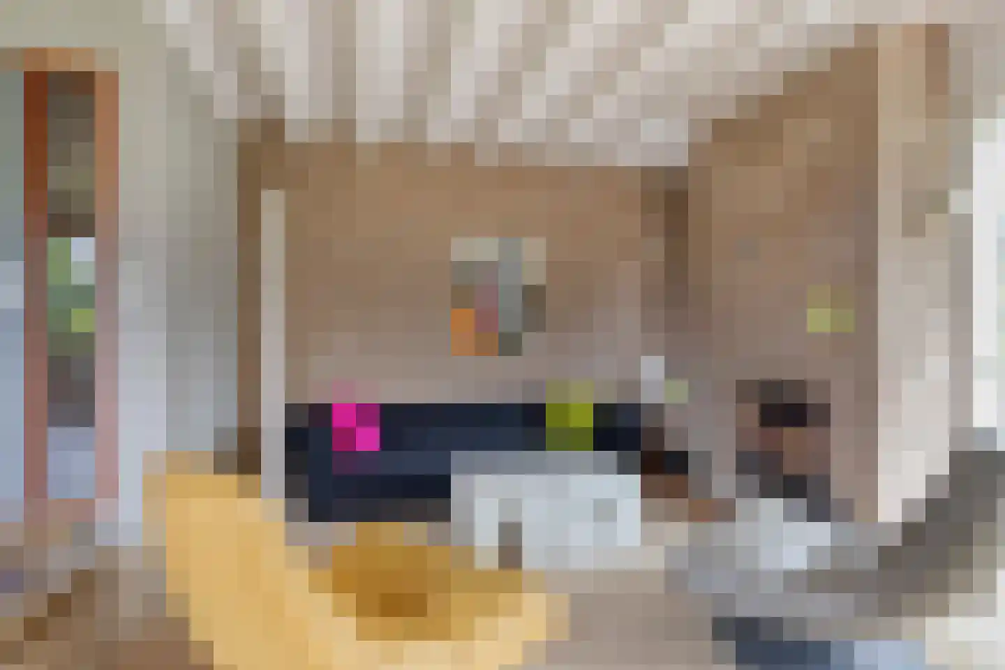 De Waay 8 Hoog-Keppel thumbnail 13