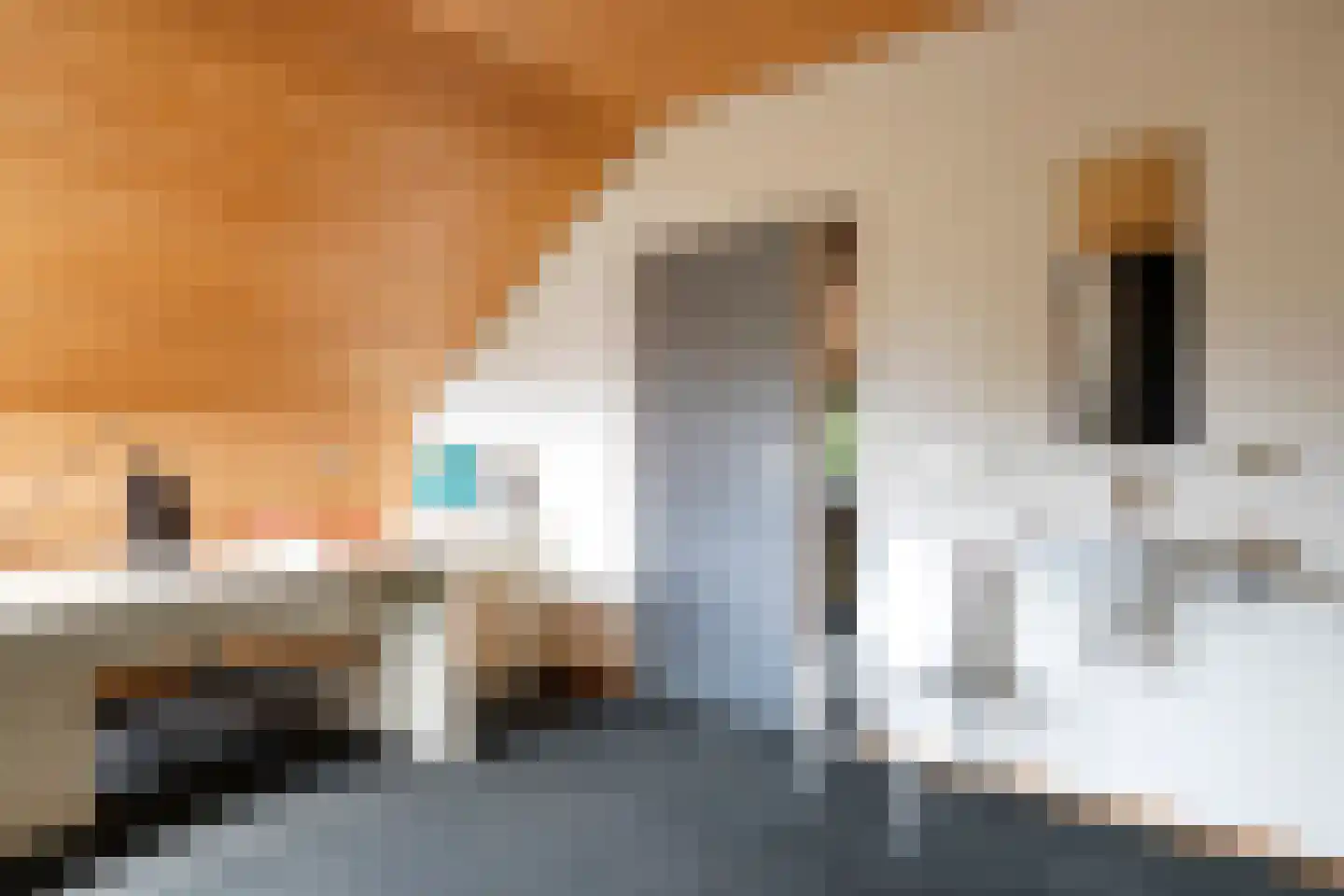 De Waay 8 Hoog-Keppel thumbnail 27