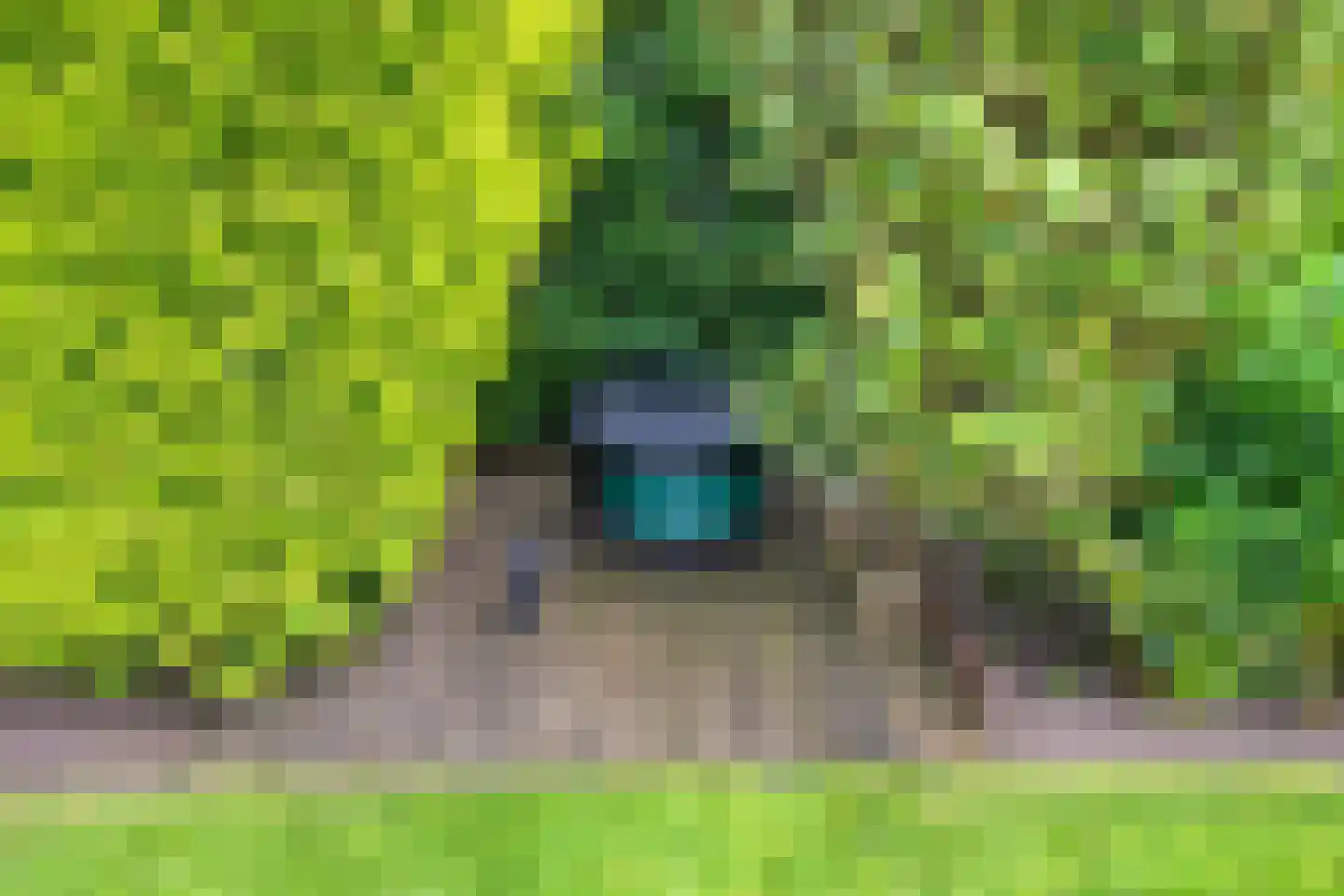 De Waay 8 Hoog-Keppel thumbnail 29