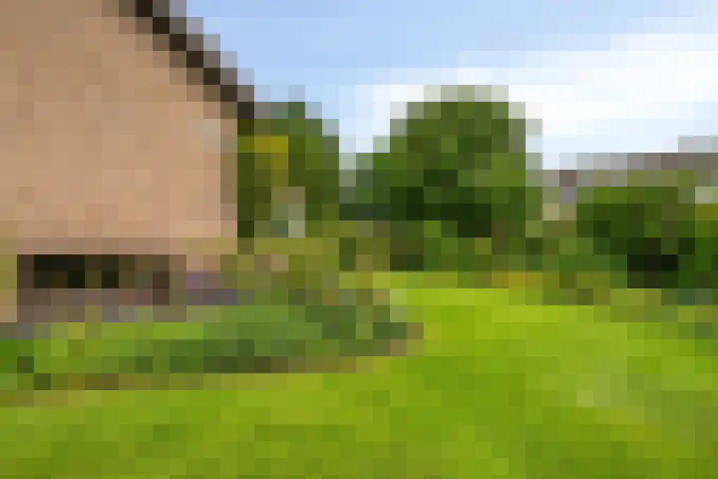 De Waay 8 Hoog-Keppel thumbnail 36