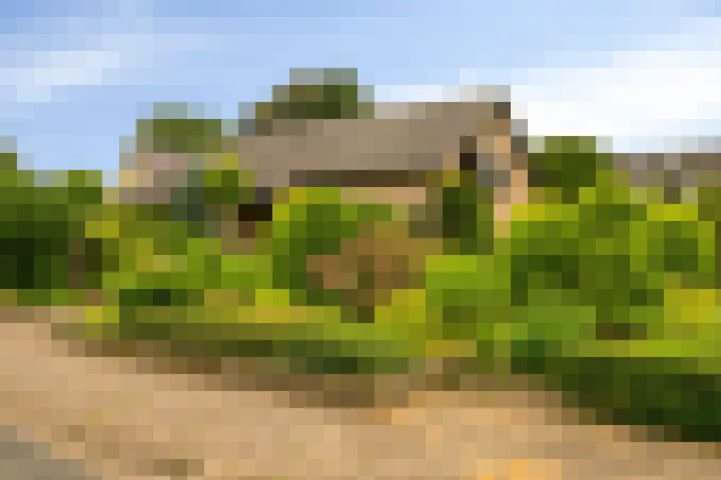 De Waay 8 Hoog-Keppel thumbnail 4