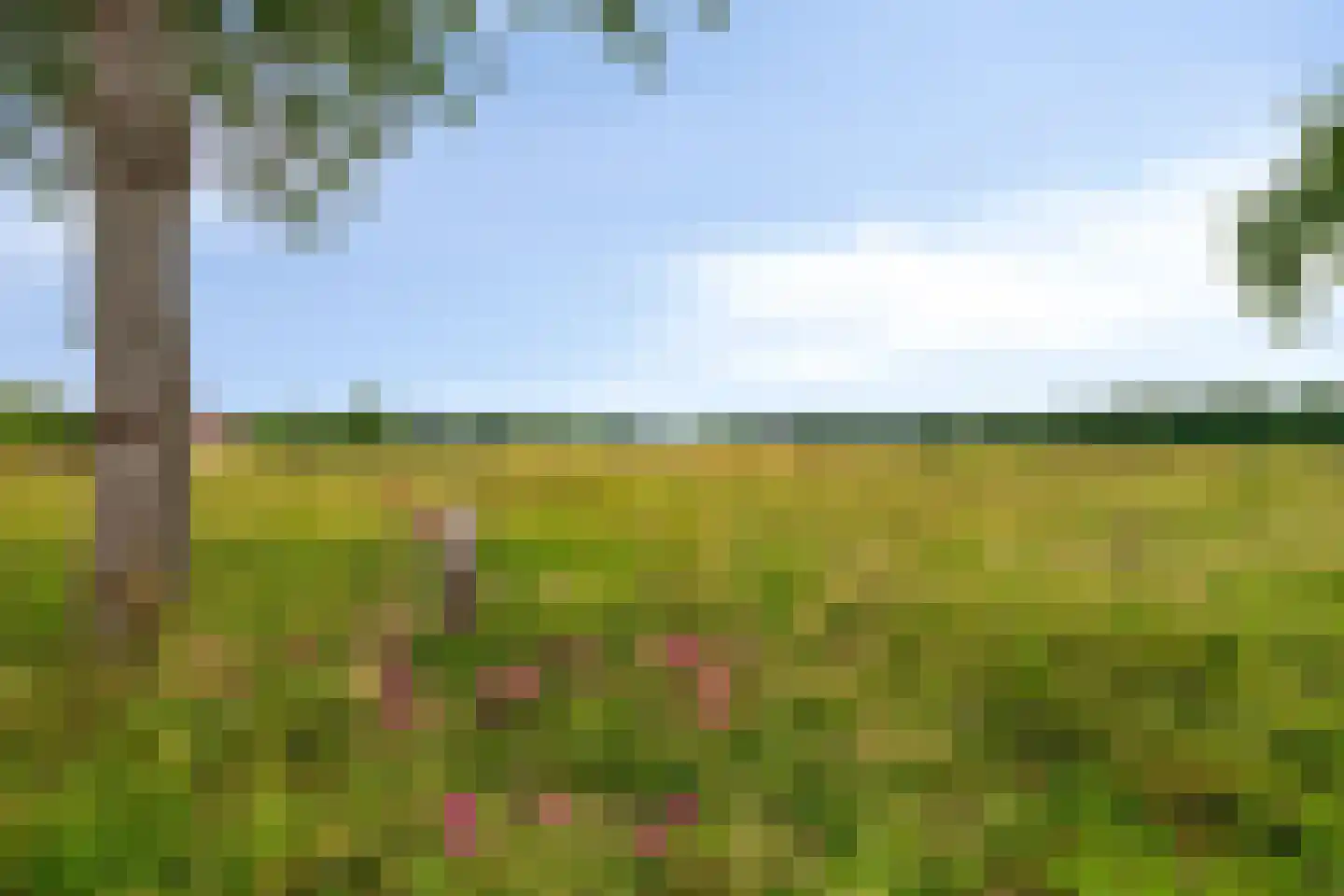 De Waay 8 Hoog-Keppel thumbnail 42