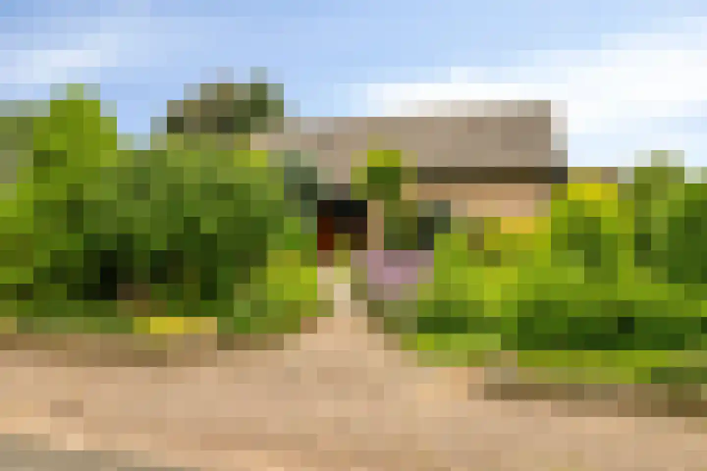 De Waay 8 Hoog-Keppel thumbnail 5