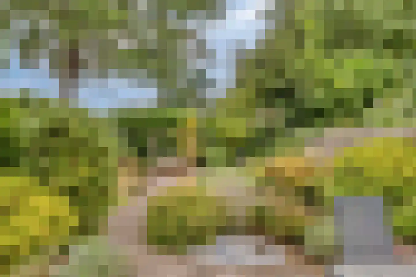 de Wadden 28 Son en Breugel thumbnail 4