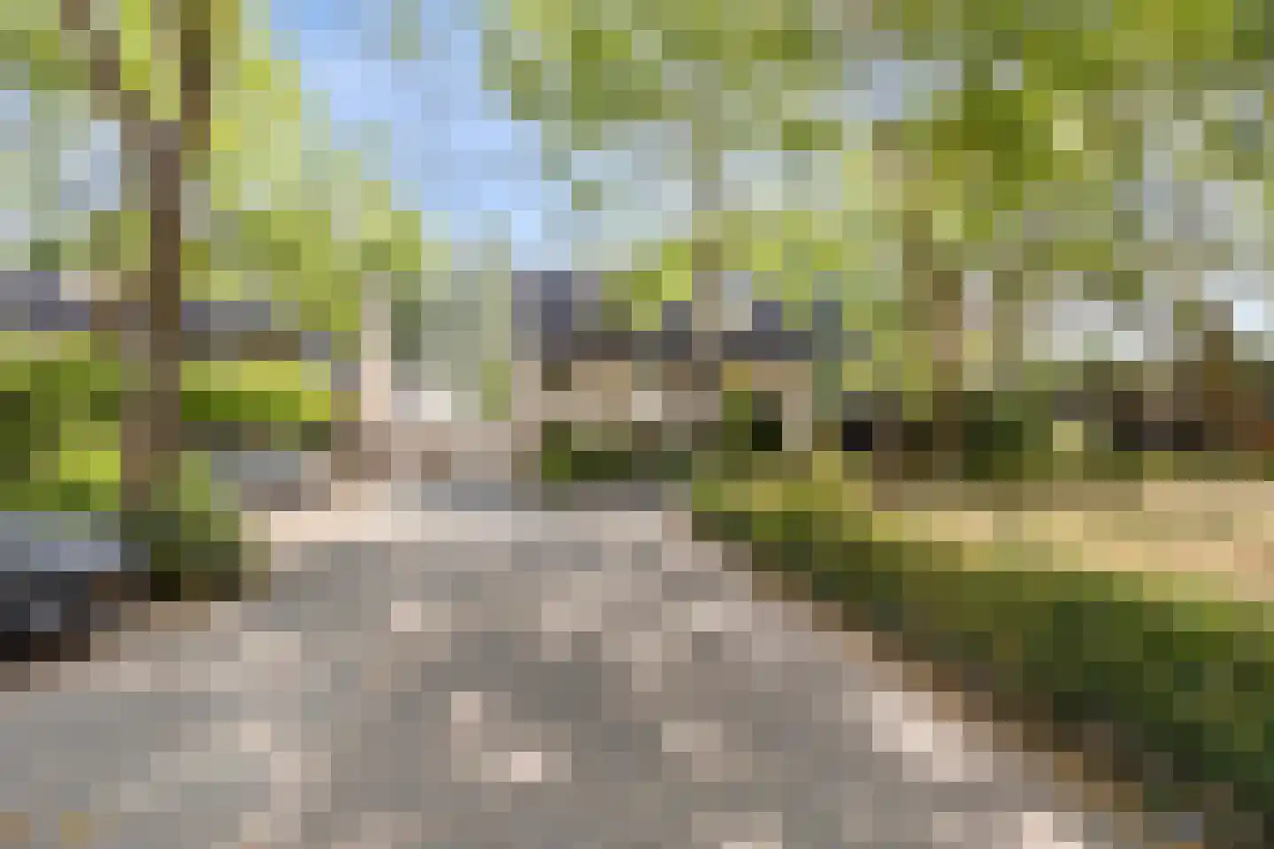 de Wadden 28 Son en Breugel thumbnail 44