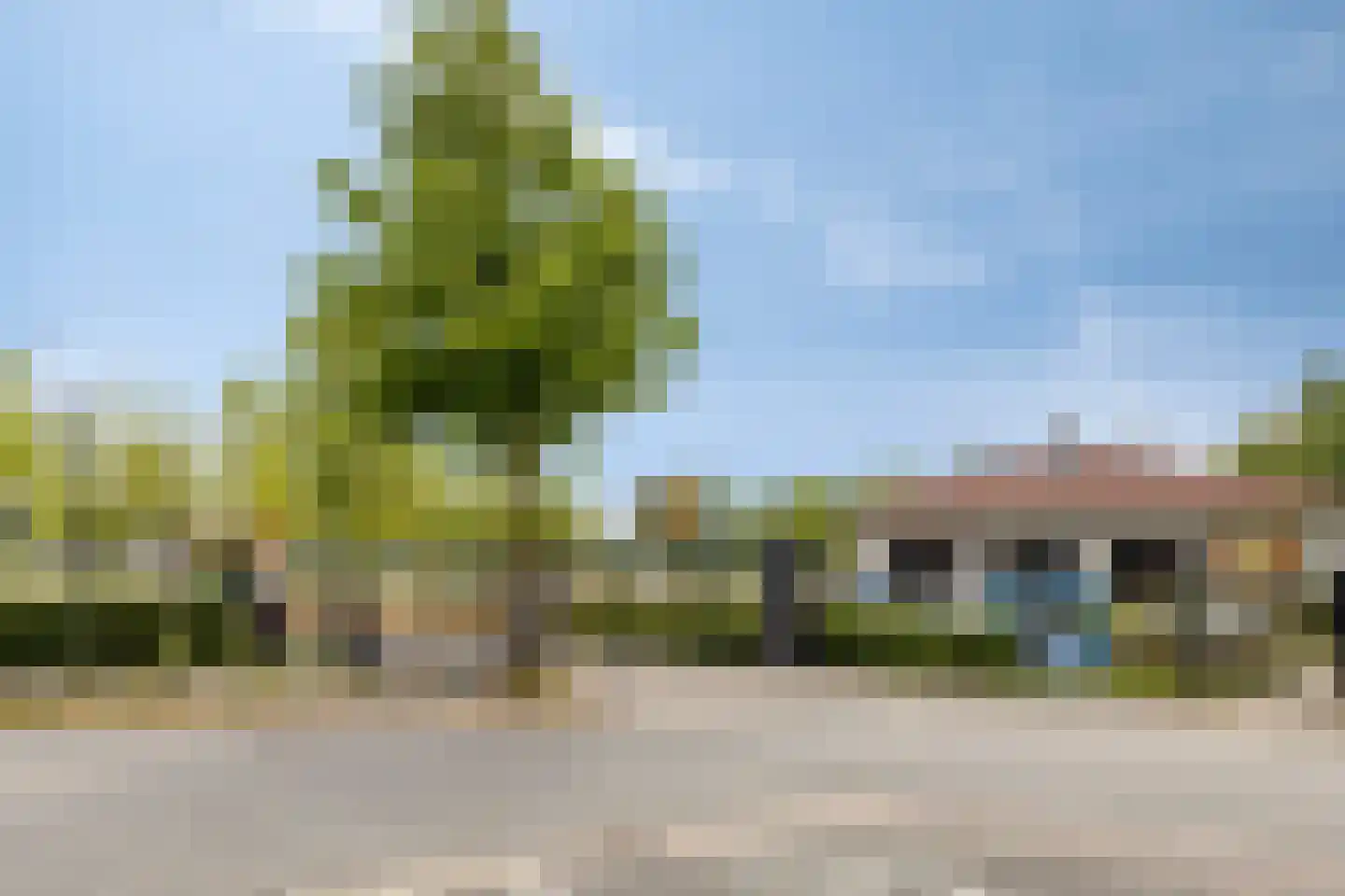 de Wadden 28 Son en Breugel thumbnail 49