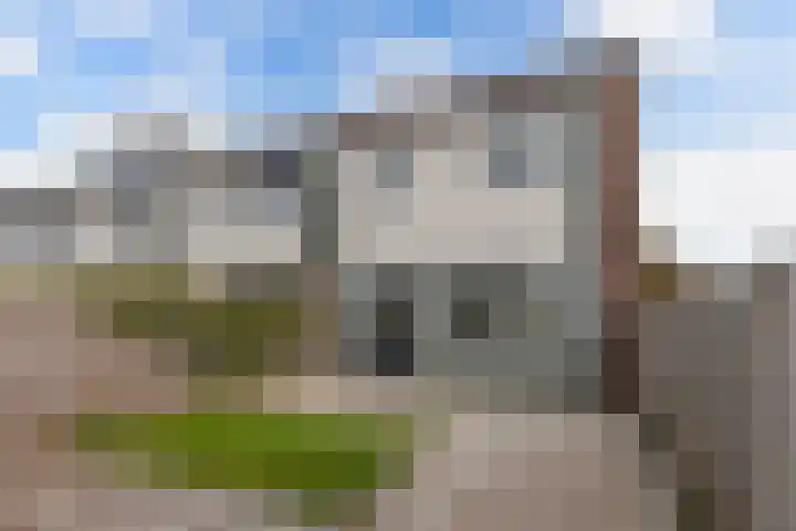 de Wadden 34 Emmeloord thumbnail 23