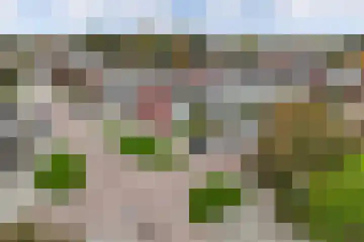 de Wadden 34 Emmeloord thumbnail 31