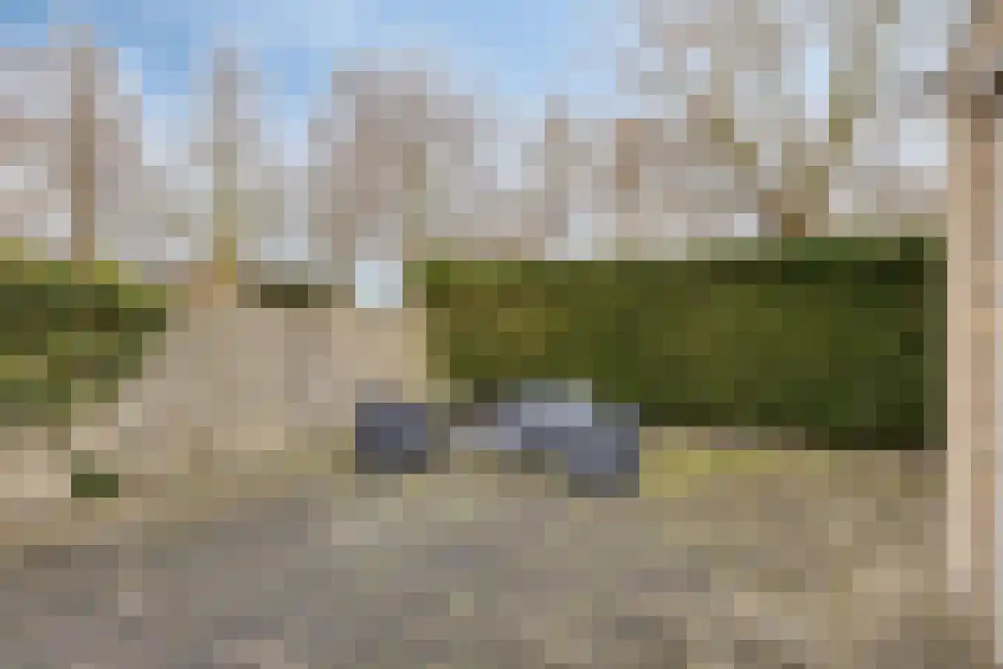 de Wadden 48 Son en Breugel thumbnail 33