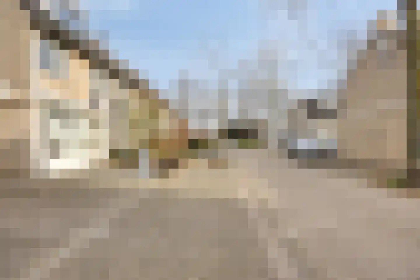 de Wadden 48 Son en Breugel thumbnail 37