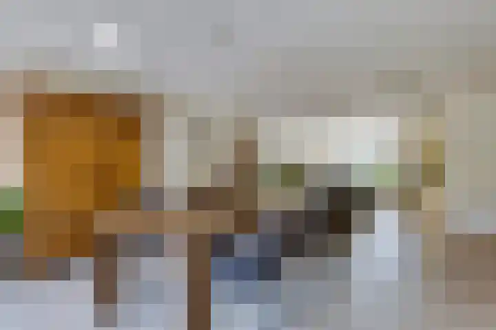 de Wadden 7 Son en Breugel thumbnail 11