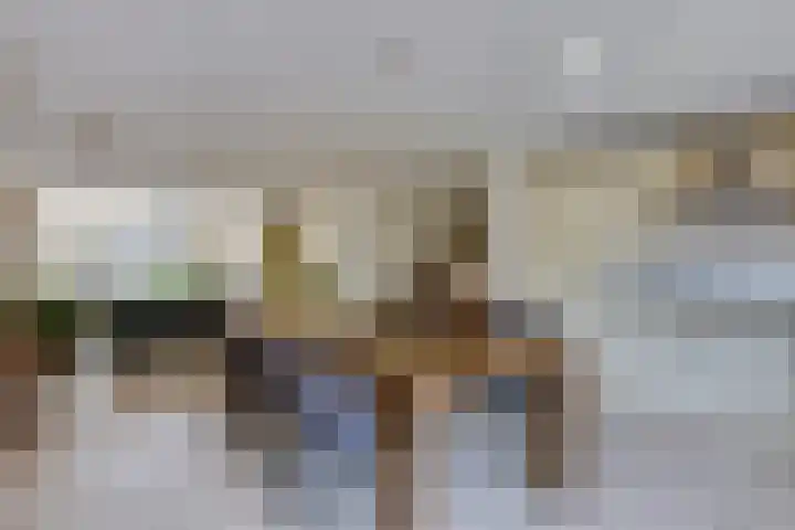de Wadden 7 Son en Breugel thumbnail 12