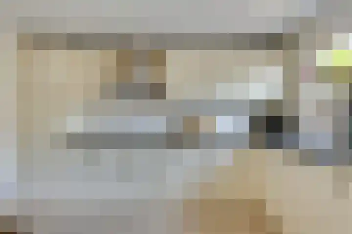 de Wadden 7 Son en Breugel thumbnail 13