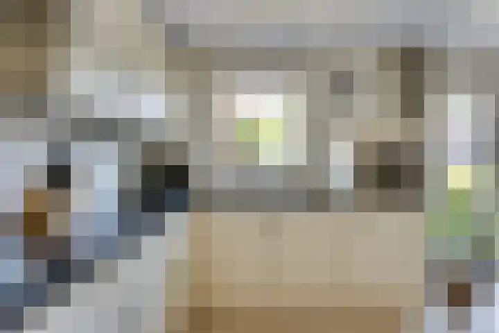 de Wadden 7 Son en Breugel thumbnail 14