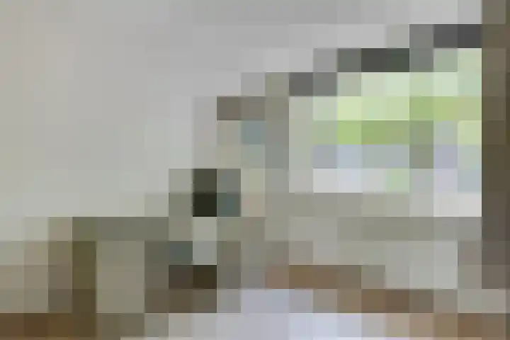 de Wadden 7 Son en Breugel thumbnail 19