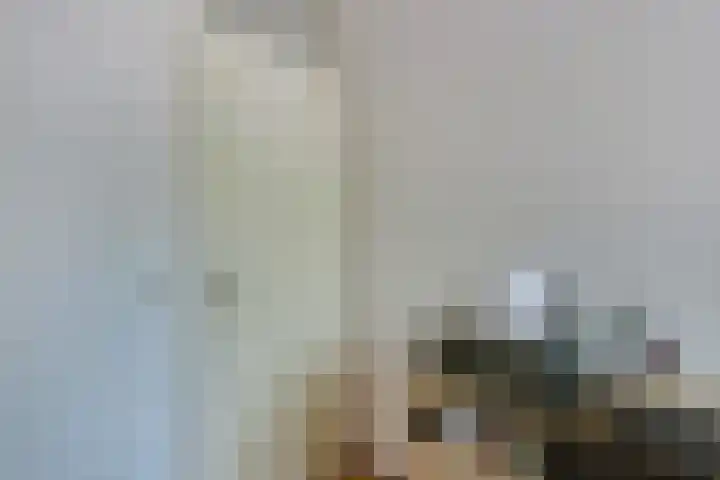 de Wadden 7 Son en Breugel thumbnail 22