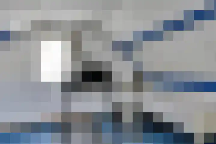 de Wadden 7 Son en Breugel thumbnail 30