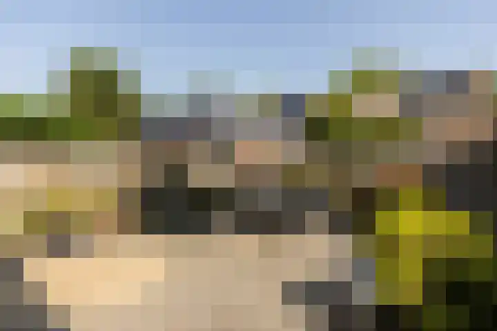 de Wadden 7 Son en Breugel thumbnail 32