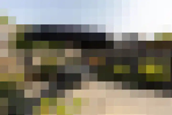 de Wadden 7 Son en Breugel thumbnail 33