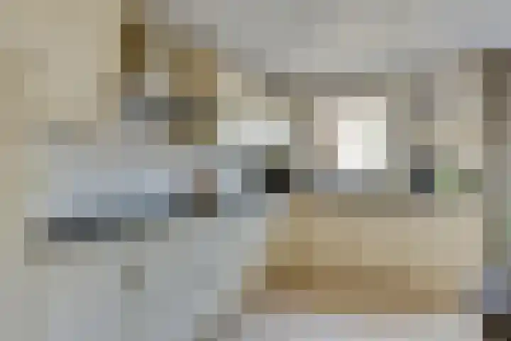 de Wadden 7 Son en Breugel thumbnail 4