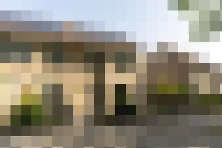 de Wadden 7 Son en Breugel thumbnail 40