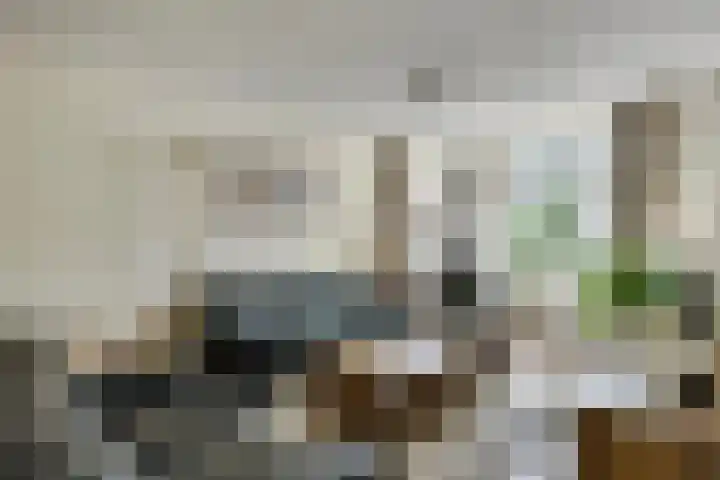 de Wadden 7 Son en Breugel thumbnail 5
