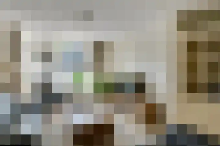 de Wadden 7 Son en Breugel thumbnail 6